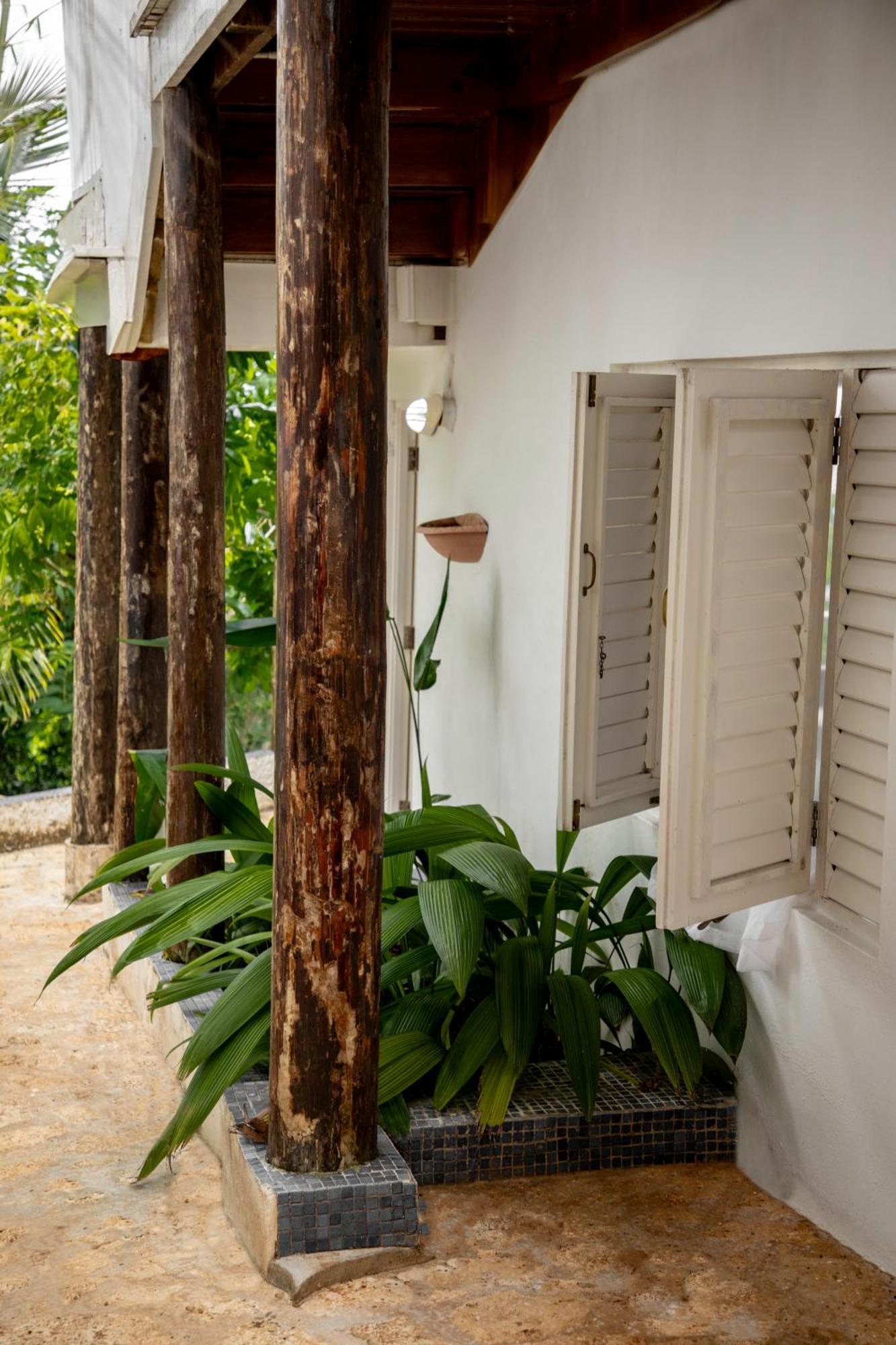 מלון Drapers Lf Jungle Retreat מראה חיצוני תמונה